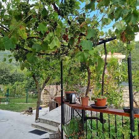 Guest House Duletic Budva Exteriör bild